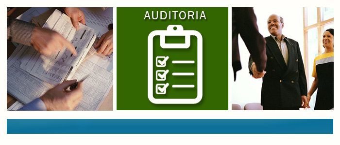 plantilla-auditoria