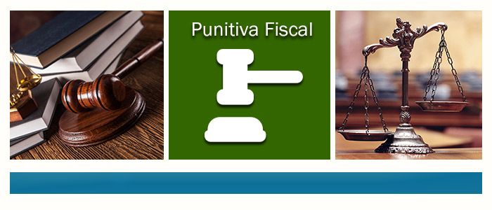 plantilla-defensa-punitiva-fiscal