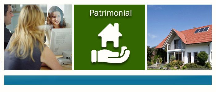 plantilla-patrimonial
